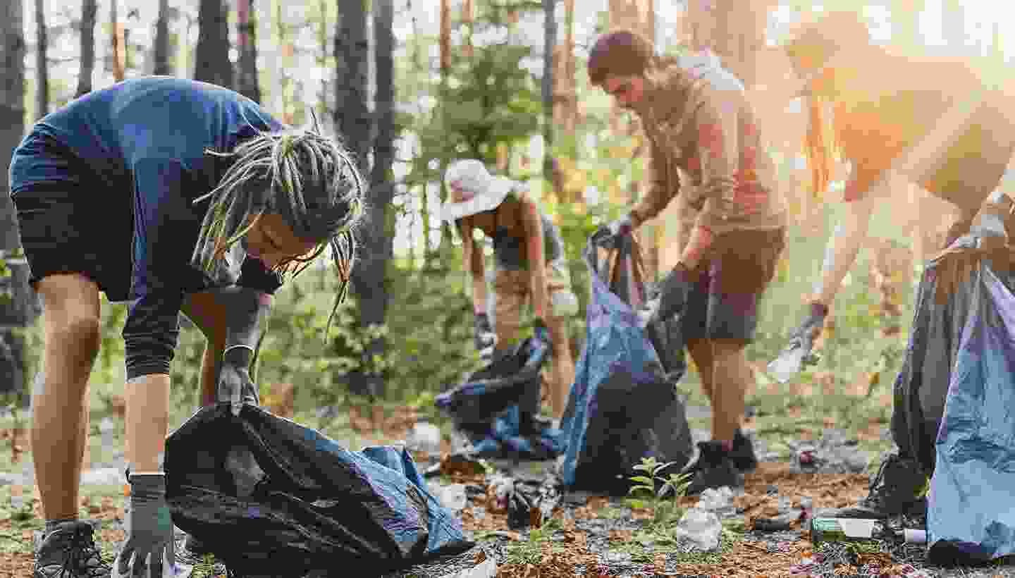 NGO Forest Cleaning